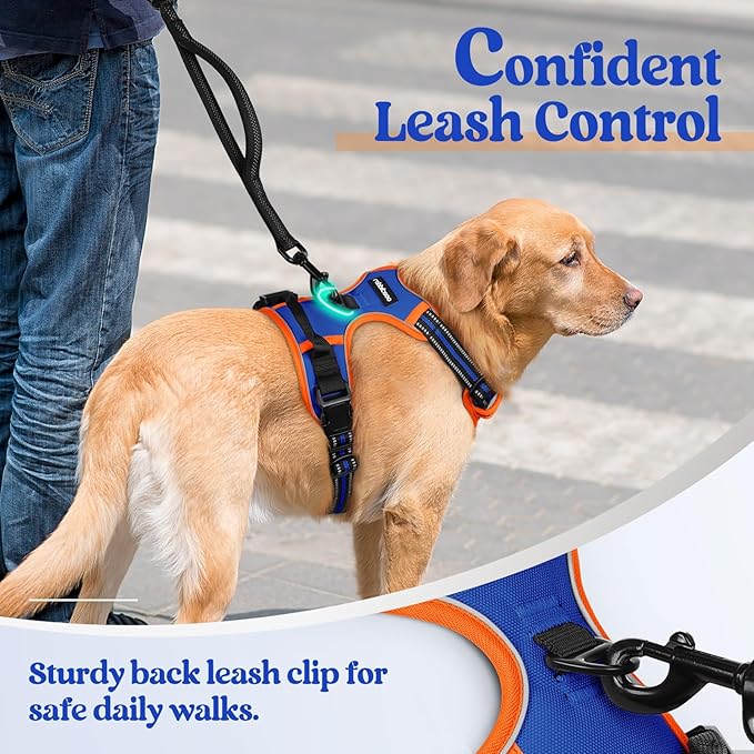 rabbitgoo Dog Harness No Pull with 2 Leash Clips, Adjustable Soft Padded, Reflective Oxford No Choke Pet Vest with Easy Control Handle for Large Dogs, Blue & Orange, L-Mewly Pet