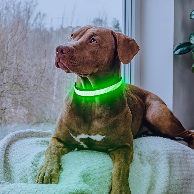 LED Dog Collar, Light Up Dog Collar USB Rechargeable, Brightest Dog Lights for Night Walking, Adjustable Dog Collar Light for Dog Safety(Small, Neon Green)-Mewly Pet