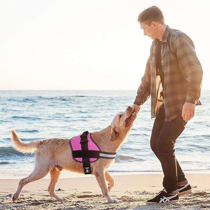 Dogline Dog Harness, Reflective No-Pull Adjustable Vest with Handle for Walking, Training, Breathable, No - Choke Harness for Small, Medium or Large Dogs Room for Patches Girth 33"-46" in Pink-Mewly Pet