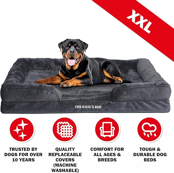 The Dog’s Bed, Orthopedic Standard Foam Waterproof Dog Bed with Standard Support, XXL Grey Plush, Waterproof, Supportive Dog Bed with Replaceable Covers, Veterinary Approved-Mewly Pet