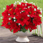 Artificial Flowers for Outdoors Red Christmas Poinsettia Flowers 12 Bundles Mixed Fake Plants UV Resistant Faux Flowers for Outdoor Planters Garden Porch Patio Home Winter Decor
