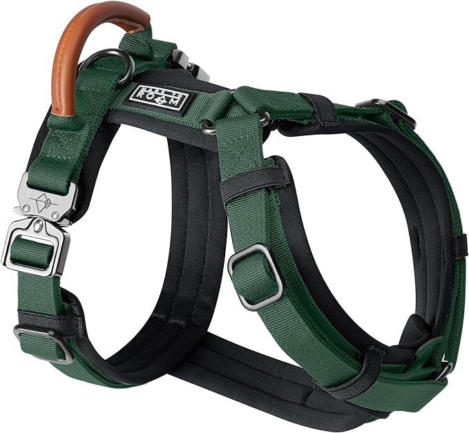 MADE TO ROAM Premium Explorer Harness - Y-Shaped Dog Harness with Adjustable Durable Nylon, Soft Padding, Metal Buckles and Leather Handle for Small, Medium, Large Dogs (Maine Marina, Size 2)-Mewly Pet