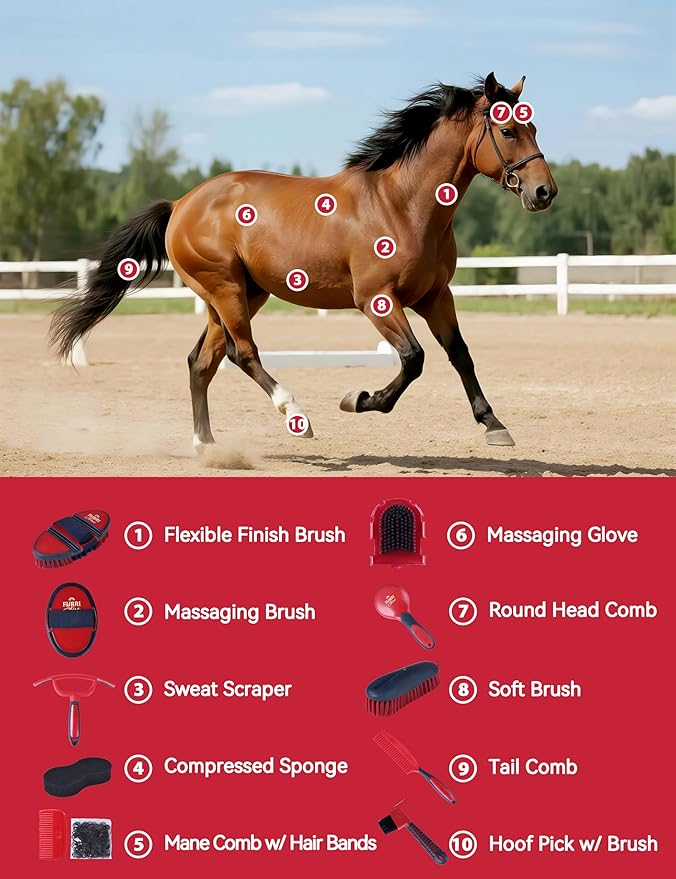 11PCS Horse Grooming Kit Curry Comb Sweat Scraper Horse Bathing Supplies Grooming Tools with Storage Bag Shadowberry-Mewly Pet