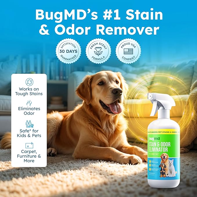 BugMD Enzyme Cleaner for Dog & Cat Urine | Pet Stain and Odor Remover for Carpet & Home | Unscented Urine Destroyer & Deodorizer-Mewly Pet