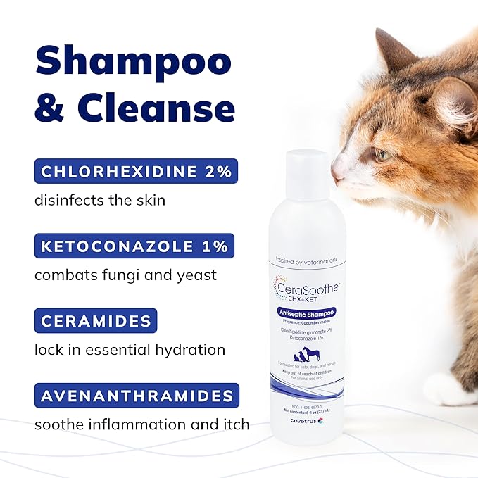CeraSoothe CHX+KET Antiseptic Shampoo for Dogs, Cats, and Horses - 16oz-Mewly Pet