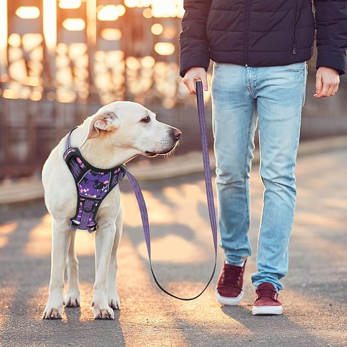 No Pull Dog Harness for Large Dogs, Adjustable No Choke Pet Vest with Dog Leash Fit Smart Reflective Pet Walking Harness for Training Easy Control Soft Handle Purple Camo L-Mewly Pet
