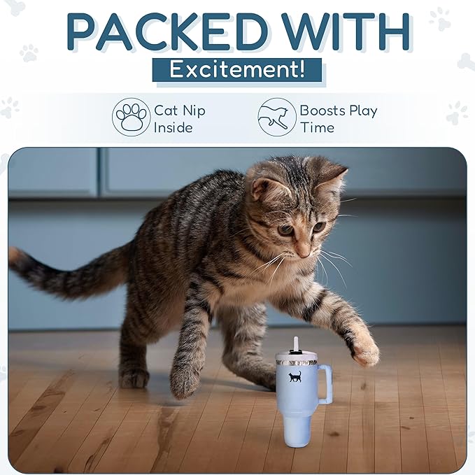 Kitty Cup Tumbler Cat Toy – Funny Cat Birthday Gifts with Catnip & Crinkle Paper, Cute Girl Kitten Toys (Chambray Blue)-Mewly Pet