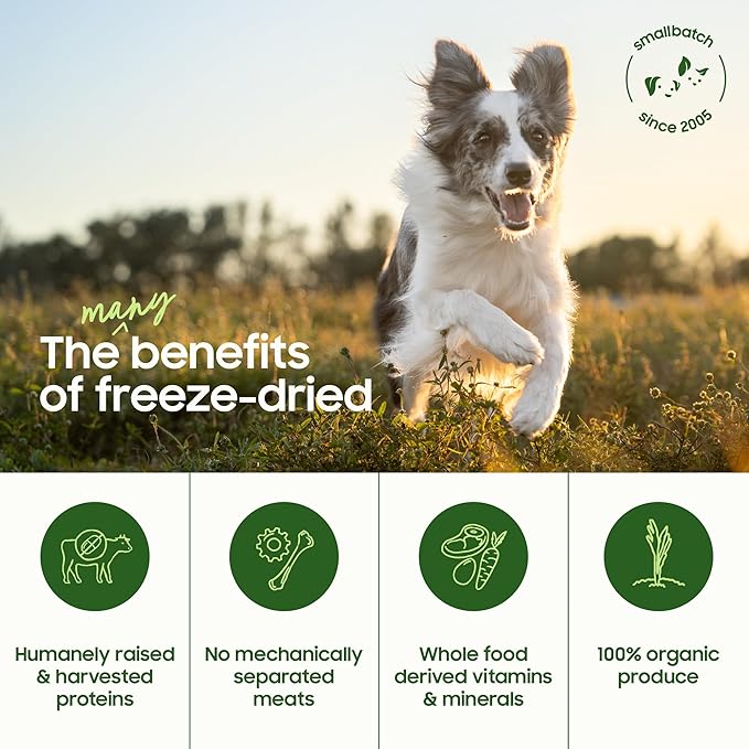 smallbatch Freeze Dried Dog Treats, Pork Liver Treats for Dogs & Cats, High Protein, Single Ingredient Dog Treat for Training or Food Topper, Natural, Humanely Sourced Meat, Made in The USA, 3 oz-Mewly Pet