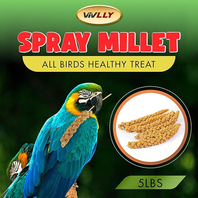 5LBS GMO-Free Sun Dried Spray Millet - Original Bird Treat Millet for Parakeets, Cockatiels, Finches & More - Non-GMO, High in Amino Acids, Easy Storage, Tasty & Healthy Bird Snacks (5 lbs)-Mewly Pet