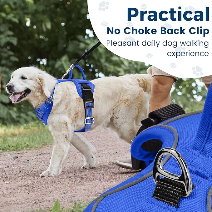 Funfox Dog Harness No Pull, Adjustable Pet Vest Harness, Super Soft Material with Vertical Handle Easy Control, Reflective Night Walking, 2 Leash Clips for Small Sized Dogs, Blue, S-Mewly Pet