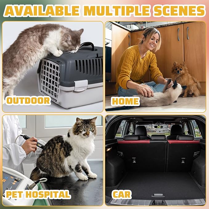Zubebe 50 Pack Disposable Cat Litter Box for Cats, Large Disposable Kitty Litter Tray Boxes 19.69 x 15.75 x 3.94 Inches Plastic Pets Pan Standard for Indoor Home Travel Portable(Black)-Mewly Pet
