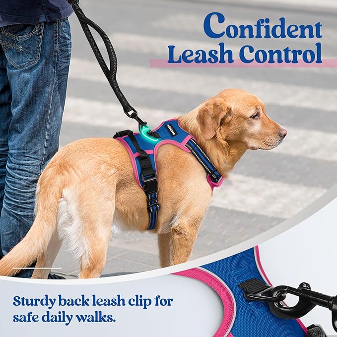 rabbitgoo Dog Harness No Pull with 2 Leash Clips, Adjustable Soft Padded, Reflective Oxford No Choke Pet Vest with Easy Control Handle for Large Dogs, Blue & Hot Pink, S-Mewly Pet