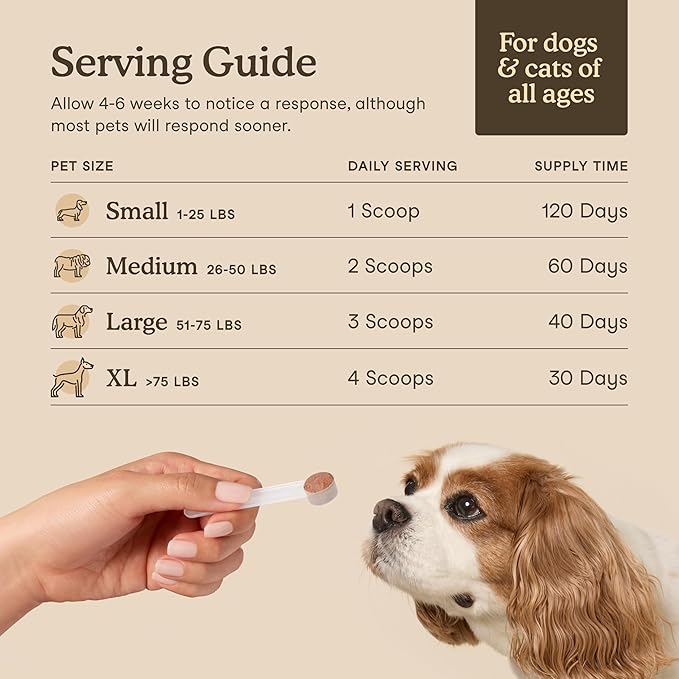 Fera Pets Mushroom Supplement for Dogs & Cats with Turkey Tail - USDA Organic - Cognitive and Immune Support - Enhances Liver Function - Supports a Healthy Gut - Powder - 120 Scoops-Mewly Pet