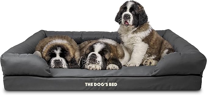 The Dog’s Bed, Dog Bed XXL Grey 51.5x39, Memory Foam, Pain Relief: Arthritis, Hip & Elbow Dysplasia, Post Surgery, Lameness, Supportive, Calming, Waterproof Washable Cover, Veterinary Approved-Mewly Pet