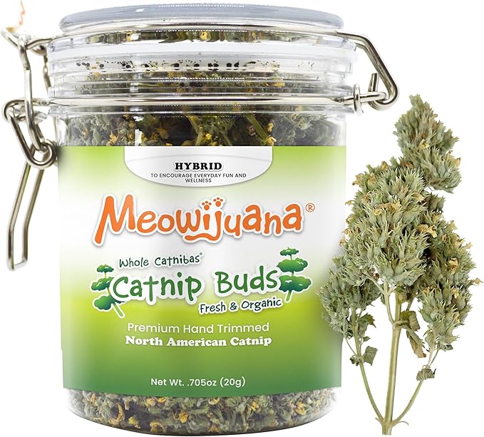 Meowijuana | Dried Catnip Buds Jar | Premium Organic Catnip | Grown in North America | Perfect for Cat Toys | Fresh Catnip for Extended Playtime | Elevate Your Cat's Enjoyment-Mewly Pet