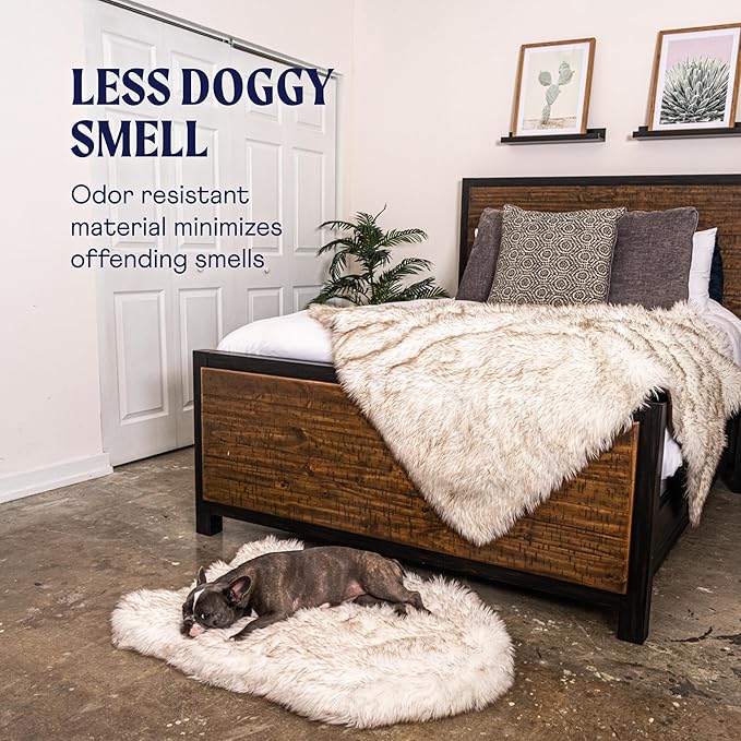 PupRug Orthopedic Dog Bed for Large Dogs with Fluffy Soft Faux Fur and Memory Foam for Joint Pain Relief, Machine Washable and Waterproof Couch Bed, White with Brown Accents, Medium-Mewly Pet