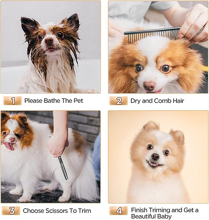 Gimars 7inch Professional 4CR Stainless Steel 6 in 1 Grooming Scissors for Dogs with Safety Round Tip, Heavy Duty Titanium Coated Pet Grooming Scissor for Dogs, Cats and Other Animals-Mewly Pet