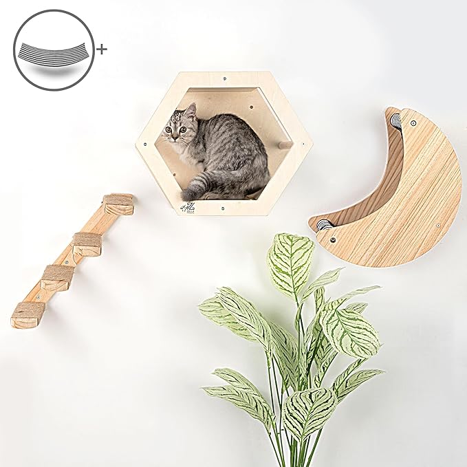 3-Piece Cat Wall Furniture Set - Hammock, Hexagon House, Climbing Steps - Wall Mounted Shelves, Perches, and Beds - Modern Design for Large Cats and Kittens & Spare Hammock Fabric Included-Mewly Pet