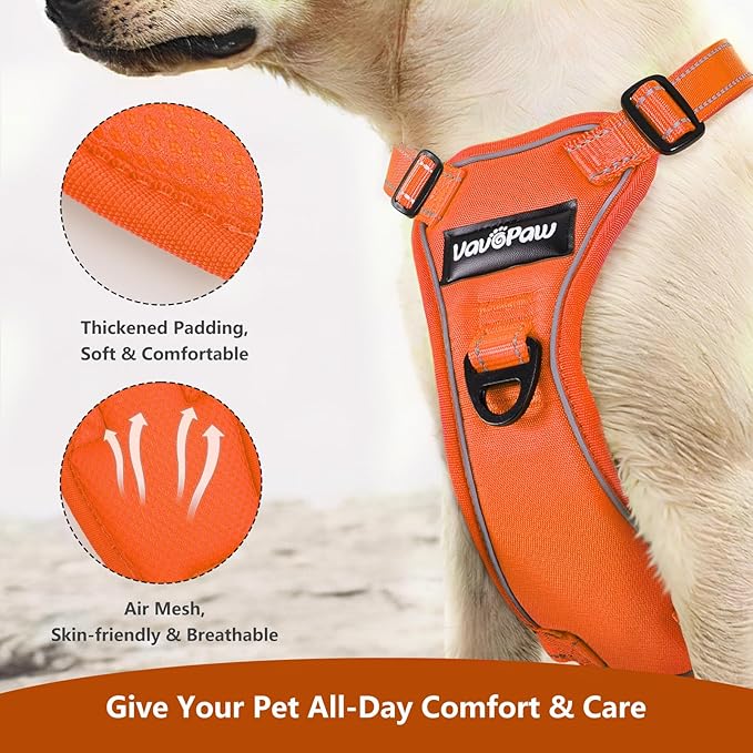 Dog Seat Belt Harness for Car, Dog Car Harness Adjustable Mesh Breathable & Dogs Seatbelt Safety Tether with Elastic Bungee for Small Medium Large Pets(Orange, XL)-Mewly Pet