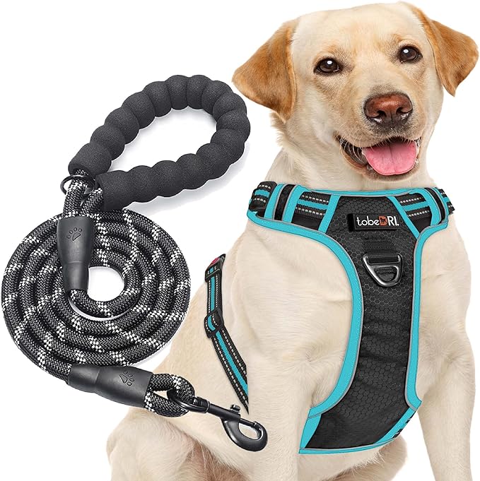No Pull Dog Harness Adjustable Reflective Oxford Easy Control Medium Large Dog Harness with A Free Heavy Duty 5ft Dog Leash-Mewly Pet