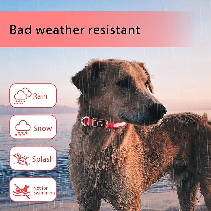 PcEoTllar Light up Dog Collar for Night Walking - LED Dog Collar Light Rechargeable Color Changing, Glow in The Dark Dog Collars Waterproof Glowing Dog Collars for Large Small Medium Dogs-Mewly Pet