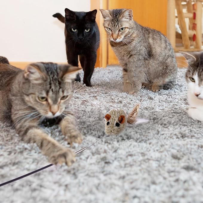 JXFUKAL Cat Feather Toy Refills, 6Pcs Simulation Bird Mouse Bee Worm Feather Cat Lures Wand Attachment Replacement for Kitty Kitten Indoor Cats Accessories-Mewly Pet