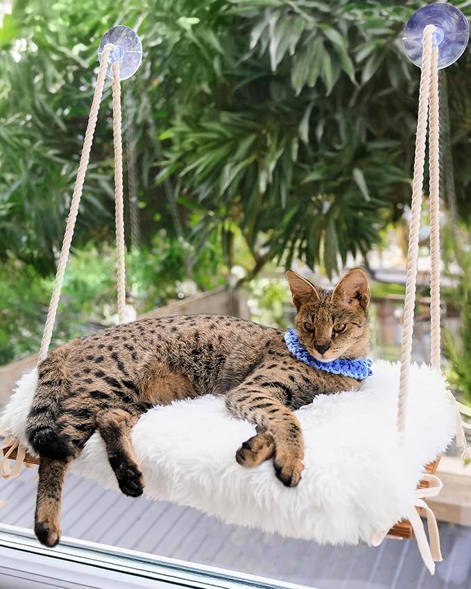 Cat Window Perch for Large Cats - Hammock Bed for Heavy Indoor Cats - Solid Wood Seat, 5 Strong Suction Cups, Soft Cushion - Rustic Shelf for Pets Inside-Mewly Pet