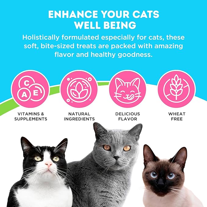 Only Natural Pet Hairball Care - Healthy Skin and Coat Support - Soft Chews for Cats – Digestive Supplement with Flaxseed, Psyllium Husk and Corn Silk – Chicken and Liver Flavor – 60 Count-Mewly Pet