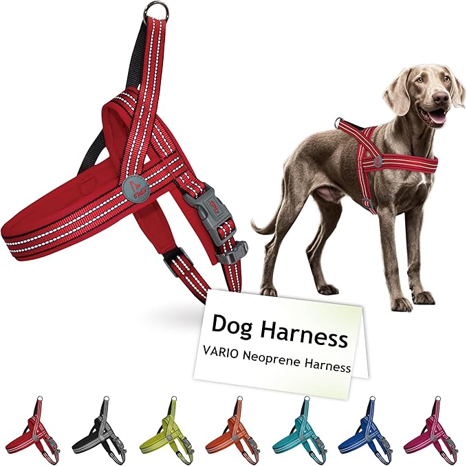 DOCO No-Pull Dog Harness Halter Reflective Easy-Control Harness for Training, Walking, and Preventing Pulling, Ideal for Large Dogs(Red)-Mewly Pet