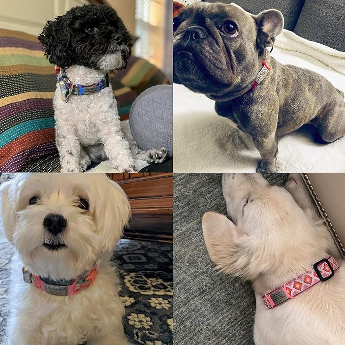 Personalized Dog & Cat ID Tags - Engraved Dog Name Tags - Slide On, Silent & Customized for Small, Medium & Large Pets-Mewly Pet