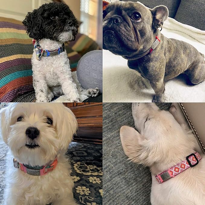 Personalized Dog & Cat ID - Engraved Dog Name Tag - Silent, No Noise - Slide On Custom Collar Tags for Small, Medium & Large Pets-Mewly Pet