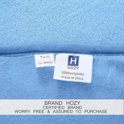 Soft Travel Size Throw for All Season Warm Fuzzy Microplush Lightweight Thermal Fleece Summer Autumn Fall Winter Spring Blankets for Bed Couch Sofa,50x60 Inches,Washed Blue