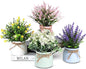 Fake Potted Plants - 4pcs Artificial Plants & Flowers in Macaron Pot Small Faux Plants Indoor Fake Plant Decor, Desk Plant for Home Bathroom Kitchen Shelf Office Decor