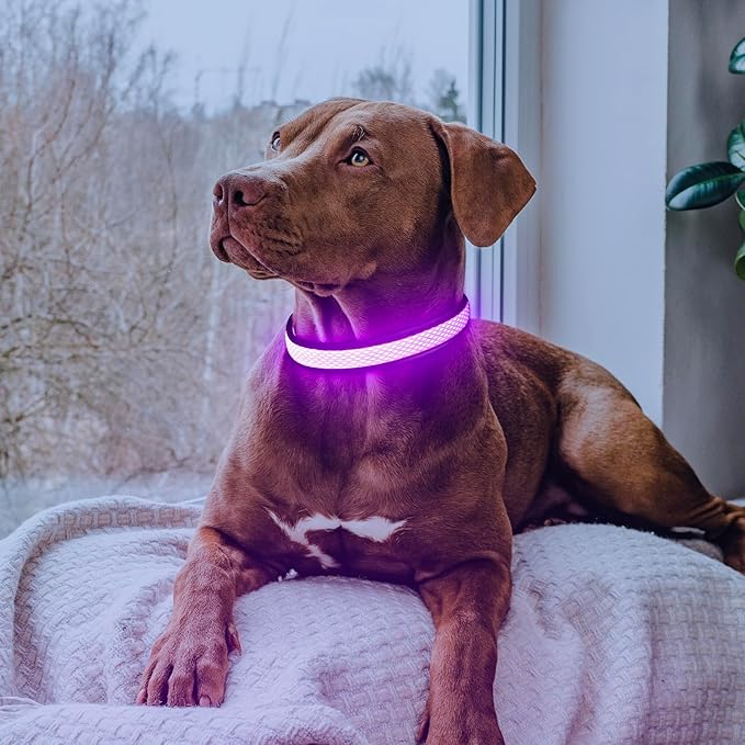 Flashseen LED Dog Collar, Light Up Dog Collar Light USB Rechargeable, Adjustable Comfortable Soft Mesh Safety Collar for Small, Medium, Large Dogs(Large, Purple)-Mewly Pet