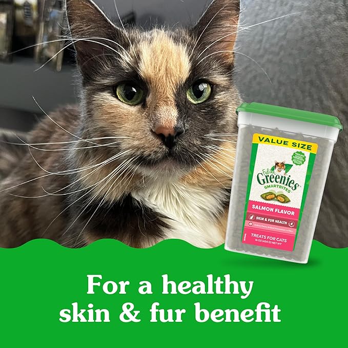 Greenies Feline Smartbites Skin & Fur Health Crunchy and Soft Cat Treats, Salmon Flavor, 16 oz. Tub-Mewly Pet