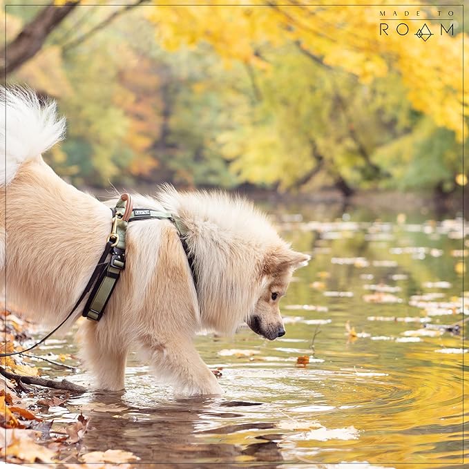 MADE TO ROAM Premium Explorer Harness - Y-Shaped Dog Harness with Adjustable Durable Nylon, Soft Padding, Metal Buckles and Leather Handle for Small, Medium, Large Dogs (Carolina Blooms, Size 6)-Mewly Pet