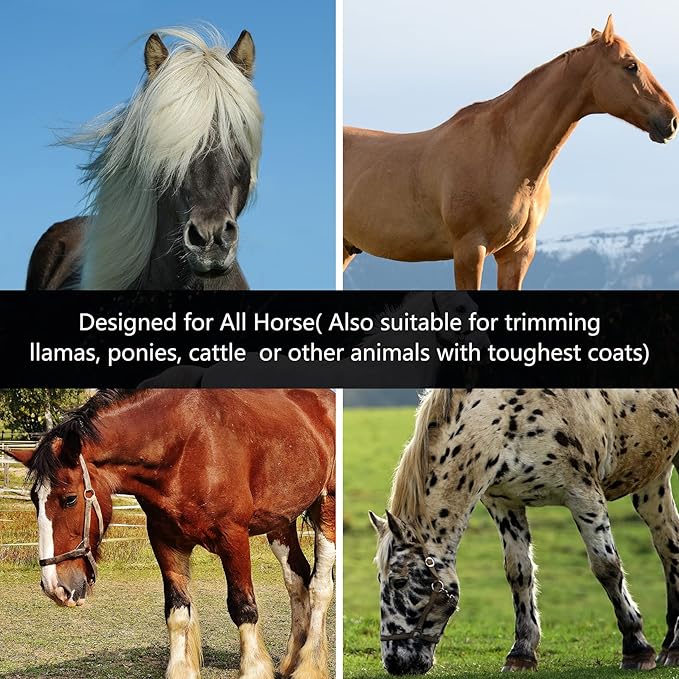 DUCKBOY Heavy Duty Clippers for Thick Coats Animals, 500W Professional Electric Shearing Machine for Horse Pony Cattle and Large Dogs Livestocks Grooming, 6 Speed & 2 Detachable Shearing Blades-Mewly Pet