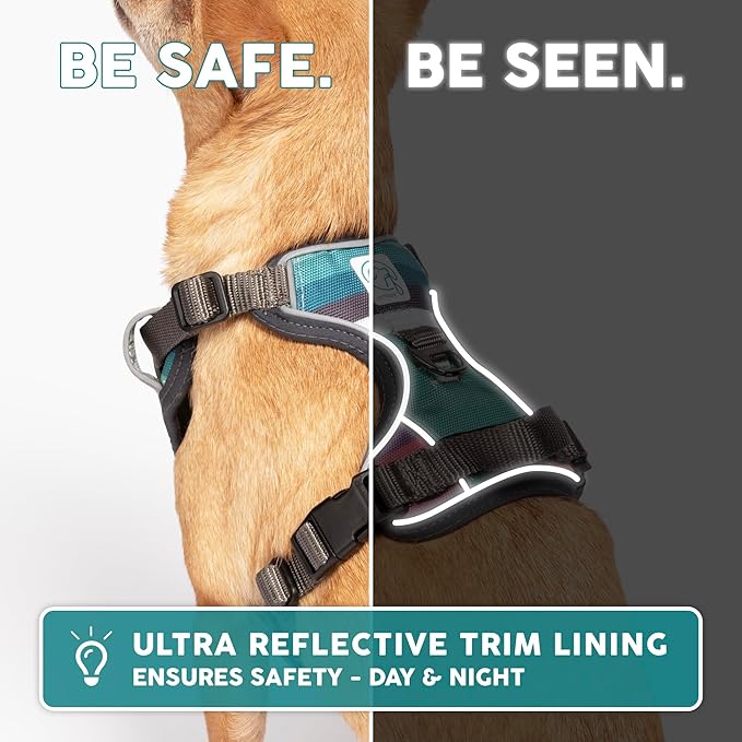 Embark Adventure Dog Harness, Reflective Trim XL Dog Harness for Extra Large Dogs No Pull - Military Grade Nylon, 2 Leash Clips & Gel Lined Handle. Soft & Padded Puppy Dog Harnesses for Any Breed-Mewly Pet