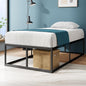Zinus Joseph 18 Inch Platform Bed Frame, Wood Slat Support, No Box Spring Needed, Eco Friendly WonderBox(TM) Packaging, Easy Assembly, Black, Twin