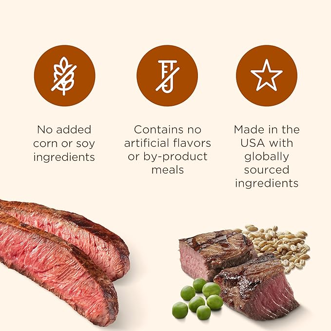 Nutrish Soup Bones Premium Dog Chews with Real Beef and Barley, 11 Chews, Packaging May Vary (Rachael Ray)-Mewly Pet