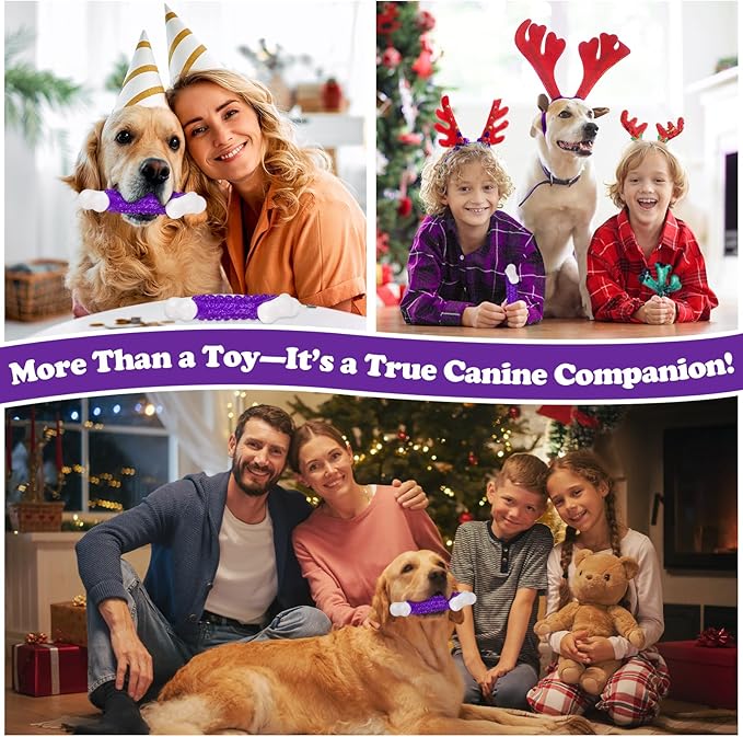 Tough Dog Chew Toys for Aggressive Chewers Large Medium Breed Bacon Flavor, Bone Toy Dog, Nylon Heavy Duty Extreme Indestructible Teething Training-Mewly Pet