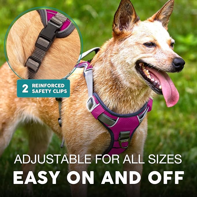 Embark Adventure Dog Harness, Reflective Trim No Pull Dog Harness for Large Dogs - Military Grade Nylon, Front Clip with Gel Lined Handle.-Mewly Pet