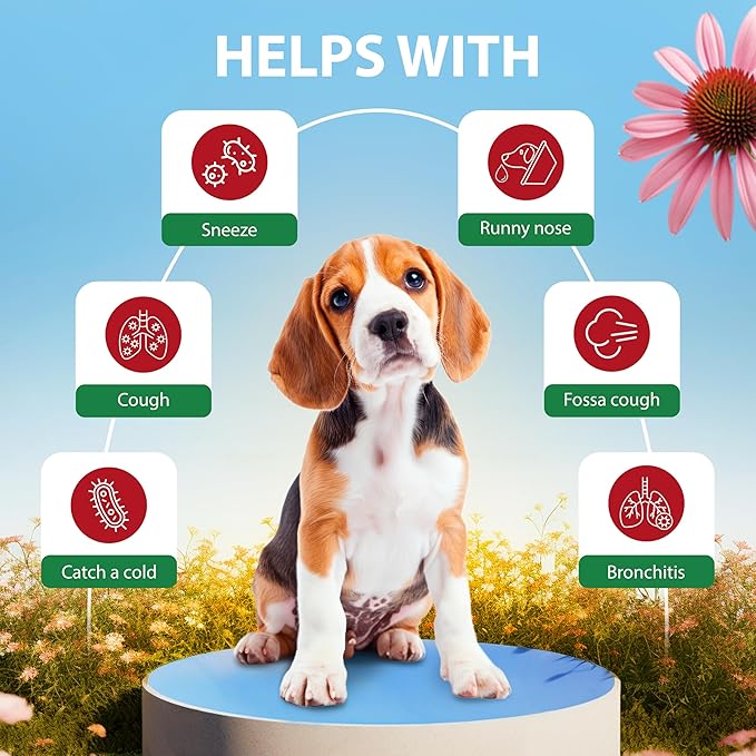 Kennel Cough Drops for Dogs & Cats Cough Relief Dry and Wet Pet Cough Allergy Relief - for Dogs of All Breeds & Sizes-Mewly Pet