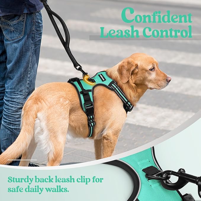 rabbitgoo Dog Harness No Pull with 2 Leash Clips, Adjustable Soft Padded, Reflective Oxford No Choke Pet Vest with Easy Control Handle for Large Dogs, Turquoise, XL-Mewly Pet
