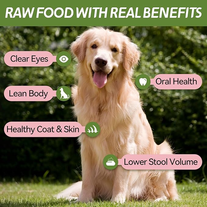 OPET Freeze Dried Cat Treats, Single Ingredient Grain Free High Protein Pet Food for Cats and Dogs, Healthy Training Snacks，Freeze Dried Pork Sliced Fillets (Pork, 1.48 Ounce)-Mewly Pet