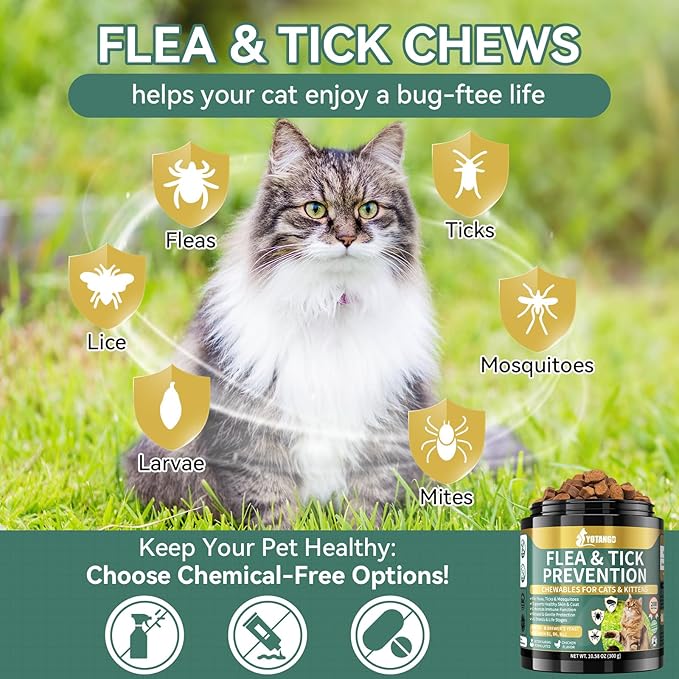 Natural Flea Treatment for Cats Chewables, 200 Soft Treats Flea and Tick Prevention for Cats, Oral Flea Supplement for Kitten Cat, Cat Flea and Tick Treatment, Skin & Coat Support - All Breeds & Ages-Mewly Pet