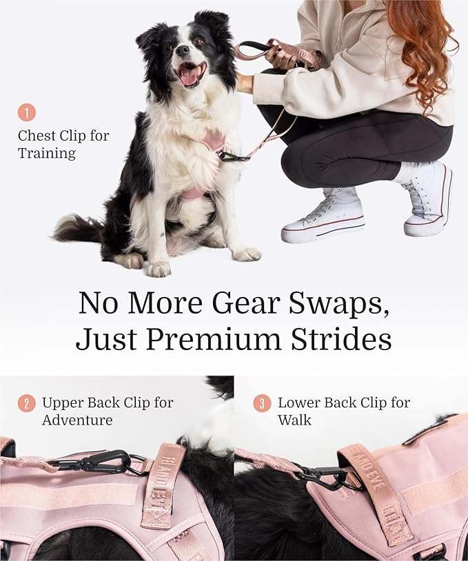 2025 New Edition, Fei & Eve MagEase Dog Harness - 3-Second Magnetic Buckles | 3-Point No-Pull Control | Heavy-Duty 900D Nylon | Dual Safety Handles | Breathable Mesh | Adjustable Fit | Large, Pink-Mewly Pet