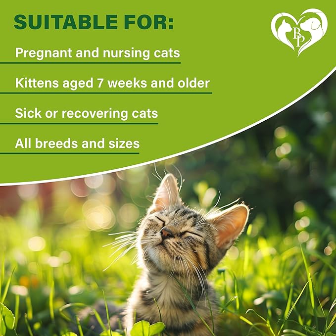 Natural Flea & Tick Collar for Cats - 12 Months Control of Best Prevention & Safe Treatment - Anti Fleas and Ticks Essential Oil Repellent (2 Pack)-Mewly Pet