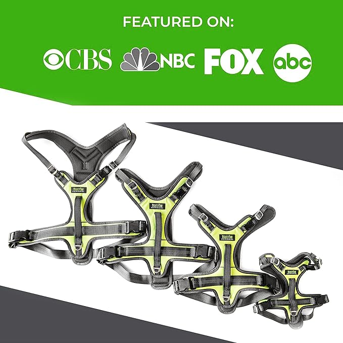 Mighty Paw Sport Harness 2.0 - Padded Canine Accessory - Adjustable Neck and Chest Straps - Enhanced Visibility with Reflective Stitching - Dog Padded Harness with Handle - Large - Green-Mewly Pet