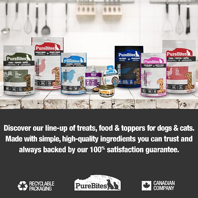 PureBites Salmon Freeze Dried Cat Treats, 0.92Oz | 26G - Value Size-Mewly Pet